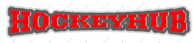 hockeyhub logo